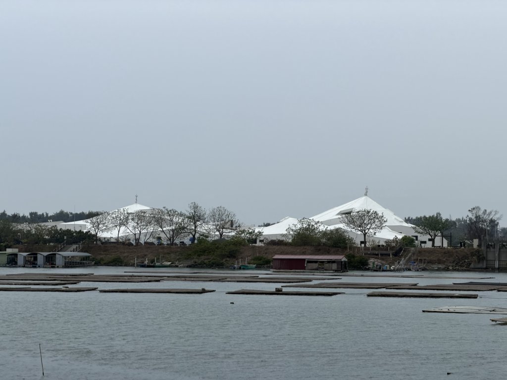 [山海圳_內海之路_第一段] 2026_0228 台江國家公園_臺灣歷史博物館_3009329
