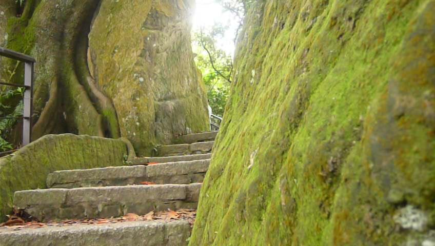 南港山縱走（象山、南港山、姆指山、九五峰）_1332261