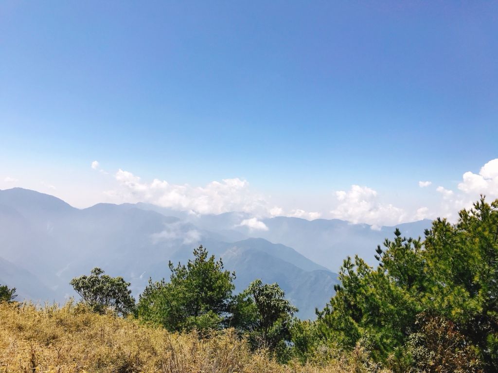 2018.03.17 郡大山麟趾山特富野_290818