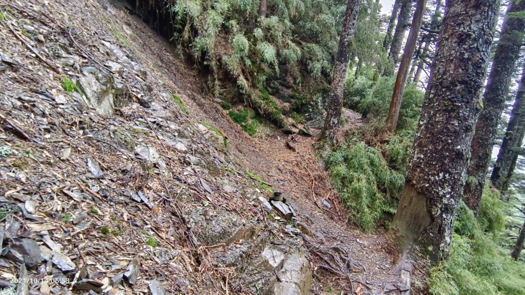 大霸群峰（大霸尖山、小霸尖山、加利山、伊澤山）_1490583