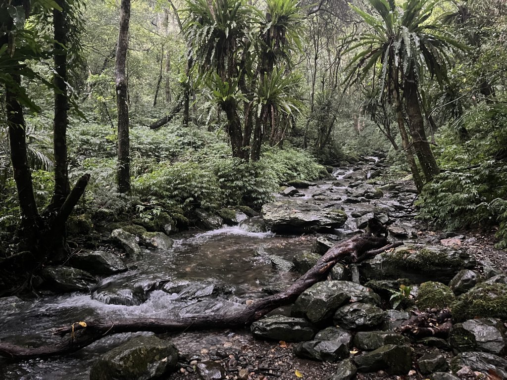 [淡蘭古道] 2025_0802 南路第四段_2850968