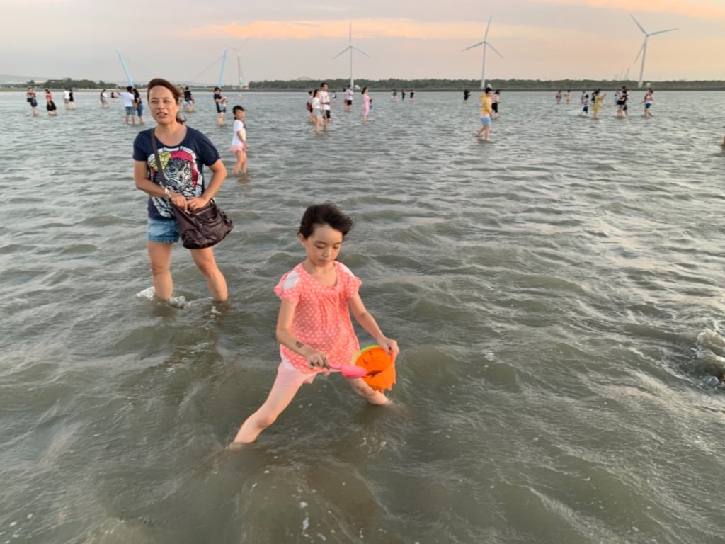 高美濕地_671648