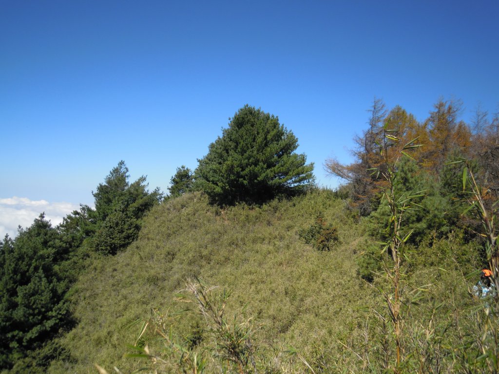 郡大山、望鄉山單攻20131019_1961524