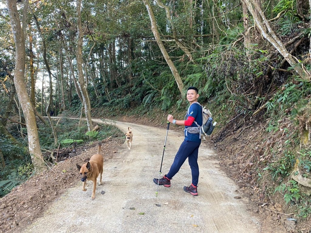 風櫃斗.牛稠坑.二坪山古道【遙知不是雪，為有暗香來】_2703857