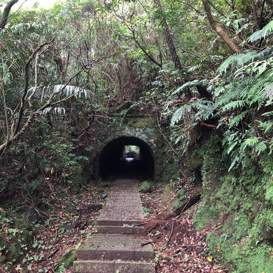 6/1燦光寮古徑 探險級路線~_2517657