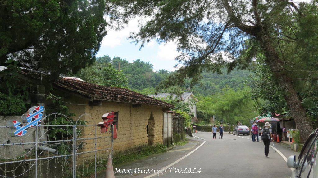 《南投》侏儸紀公園｜魚池澀水森林步道O繞20240629_2538520