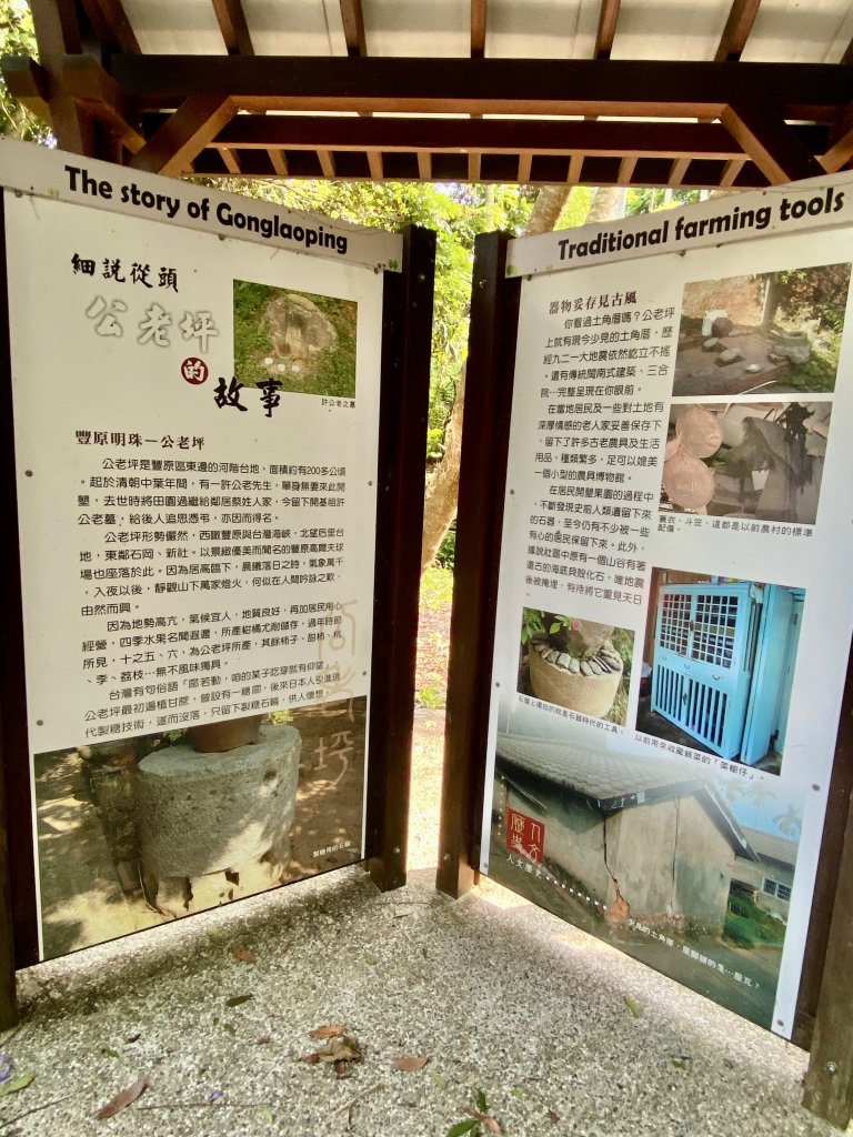公老坪蜈蚣崎步道O型走    2024.5.3_2498370