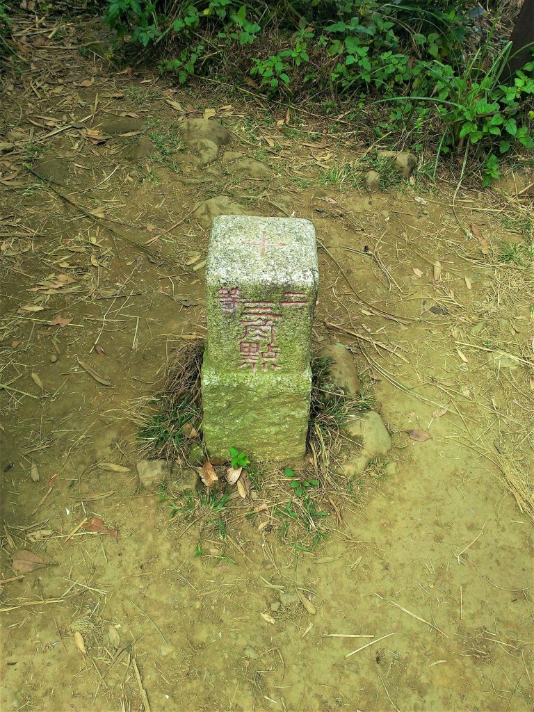 恣意橫貫五指之間_483022