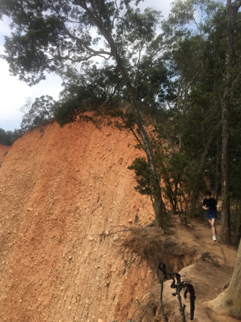 2020.3.27火炎山登山步道完走_905048