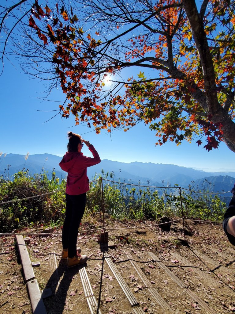 【苗粟 | 馬拉邦山】封面圖