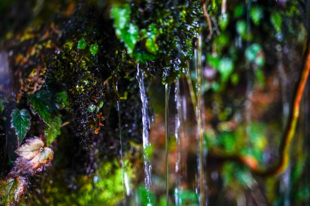 南嶽北大武_554384