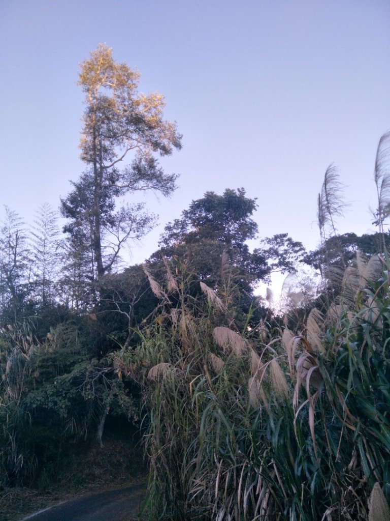 集集大山_2014104