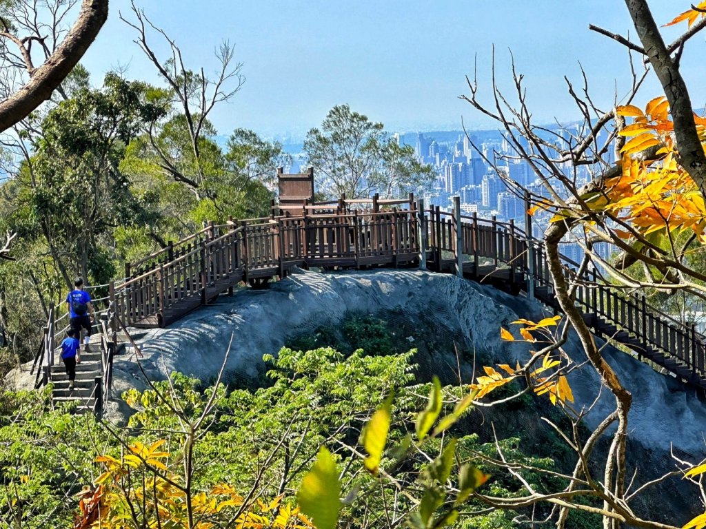 聚興山 新田步道 龍興巷落羽松_1994524