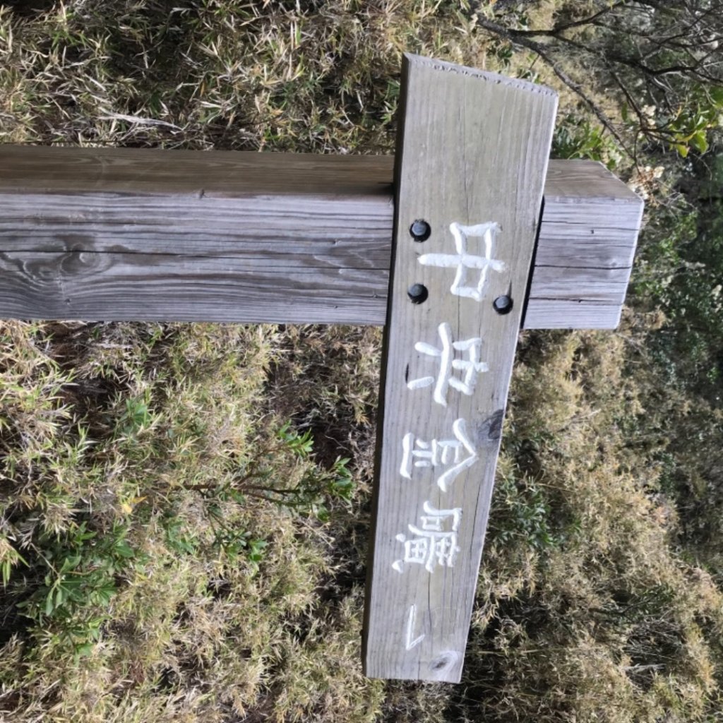 八大秀_1341479