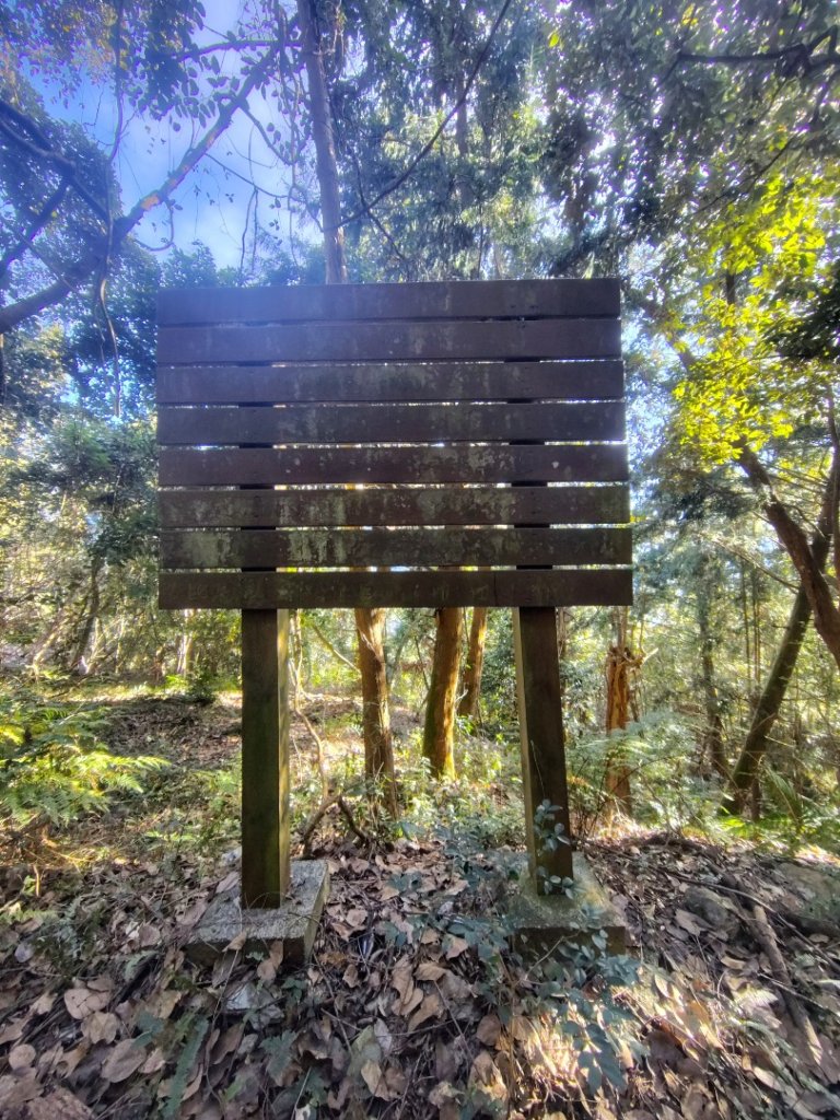 多納六秀 屯子山 安通吊橋_2987256