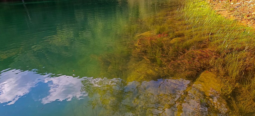 111.12.24 五指山古道-友蚋山-新山-夢湖-登山口_1967652