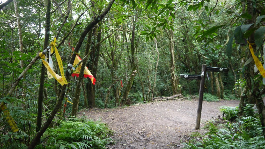 坪溪古道登山健行趣(淡蘭中路TK2-18)_1514221