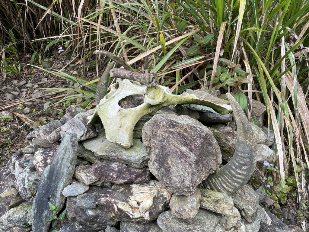 海鼠駐在所附近的水牛墓遺跡