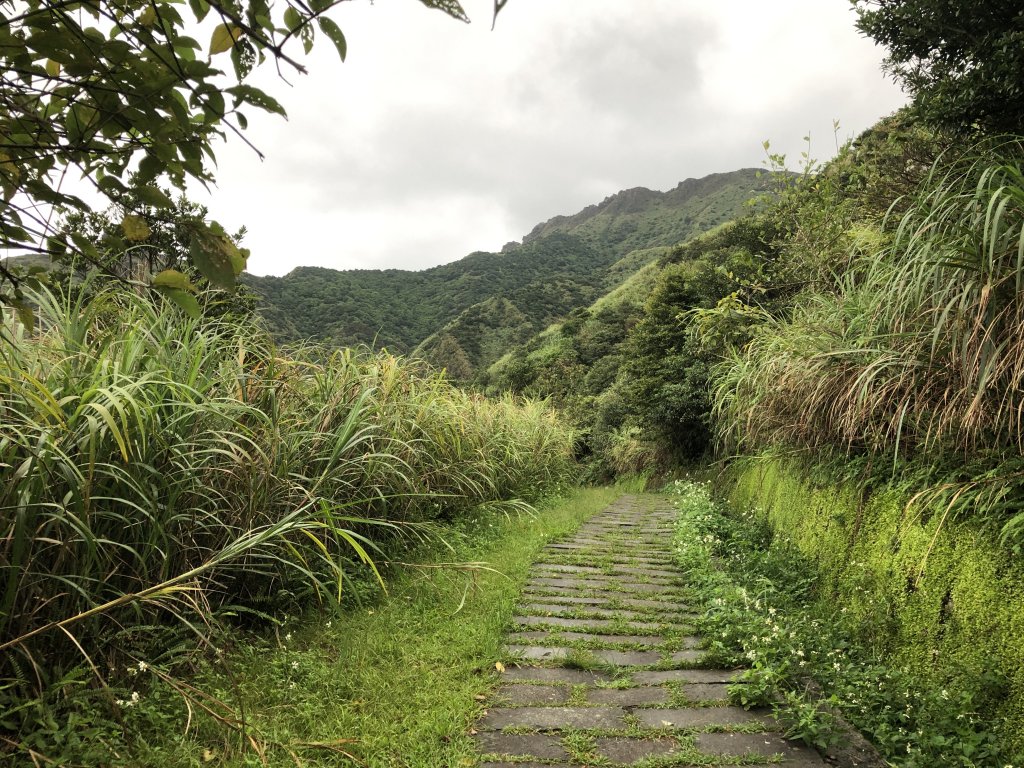 黃金神社地質公園、茶壺山、黃金瀑布_1112665