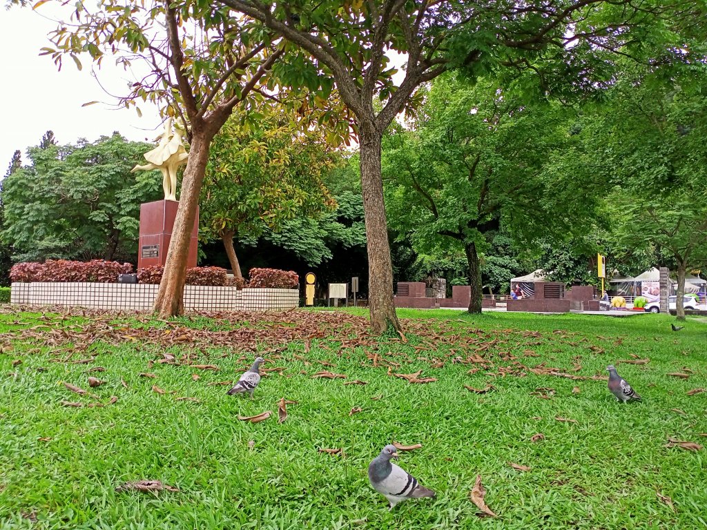 碧波蕩漾的碧湖公園環湖步道_1731904