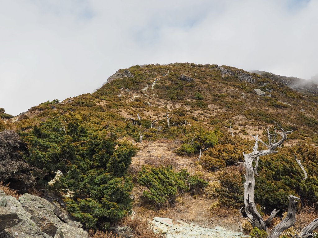 [百岳]金色嘉明湖與三叉向陽_873354