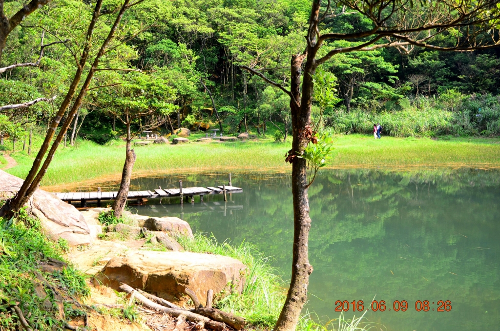 新山夢湖_47265