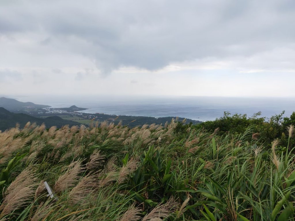 小百岳(81)-大山母山-20201017~【2020全家總動員~28分之25】_1690050