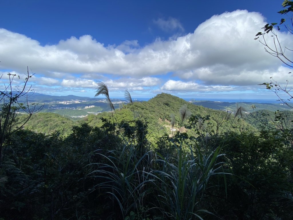 2023/12/14 碇內尖山 龍門山 五分山 淡蘭古道中路_2399800