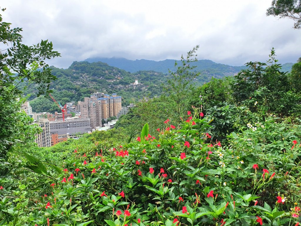 台北大縱走第六段縮減版，富陽生態自然公園，福州山，中埔山東峰，軍功山，拇指山，糶米古道，烏來瀑布_1697326