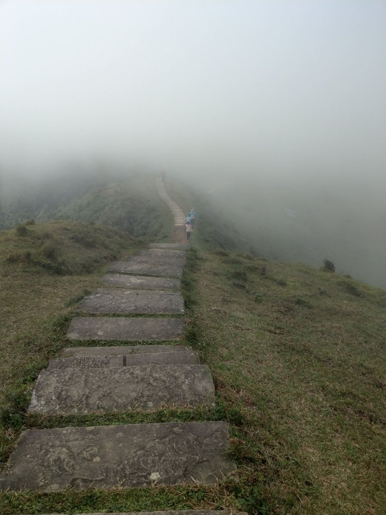 草嶺古道及桃源谷賞芒&&一望無際的綠_748763