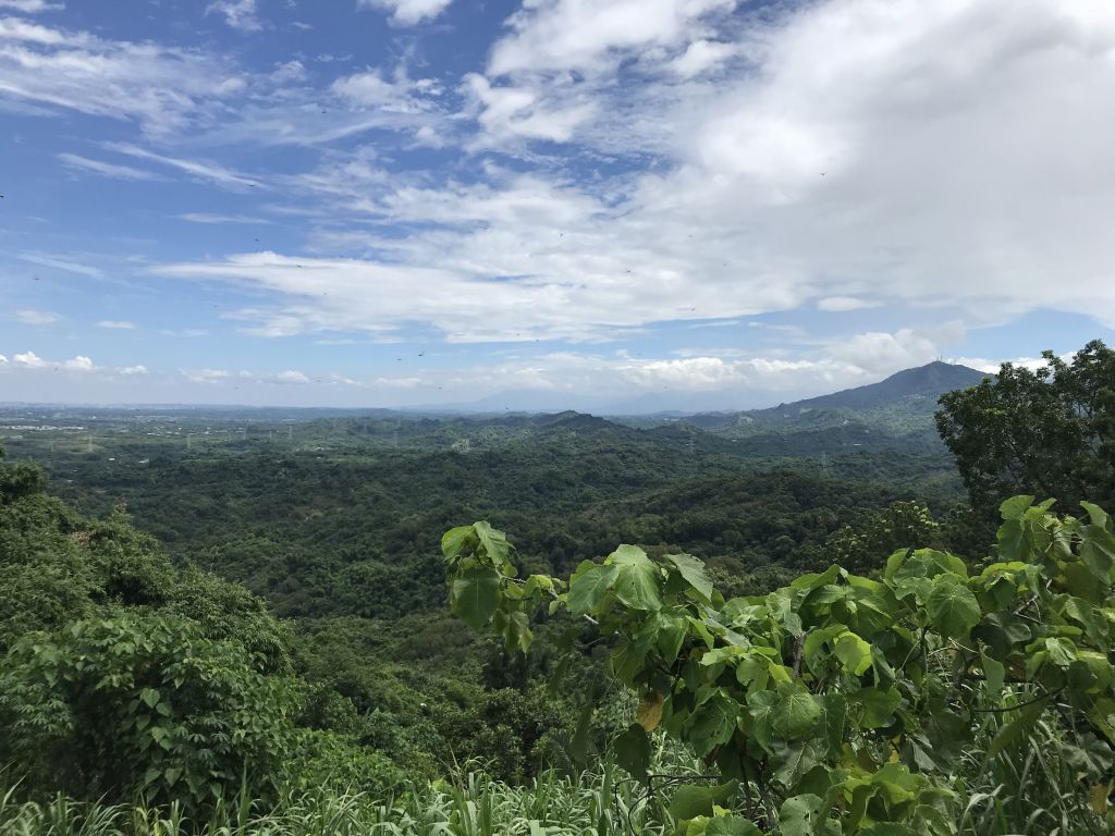林安森林公園(大寮山)遊東源_389395