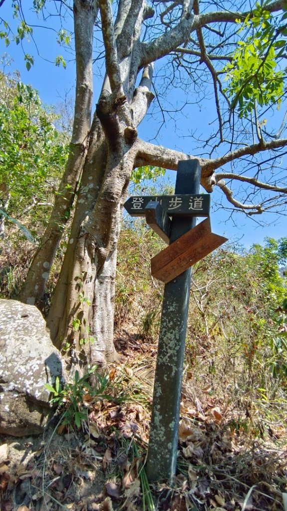 暗影山（酒桶山）台中小百岳_2041987
