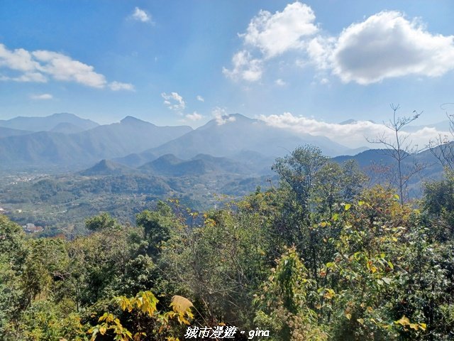 【南投魚池】郊山好視野。 金龍山(槌仔寮山)步道_2976311