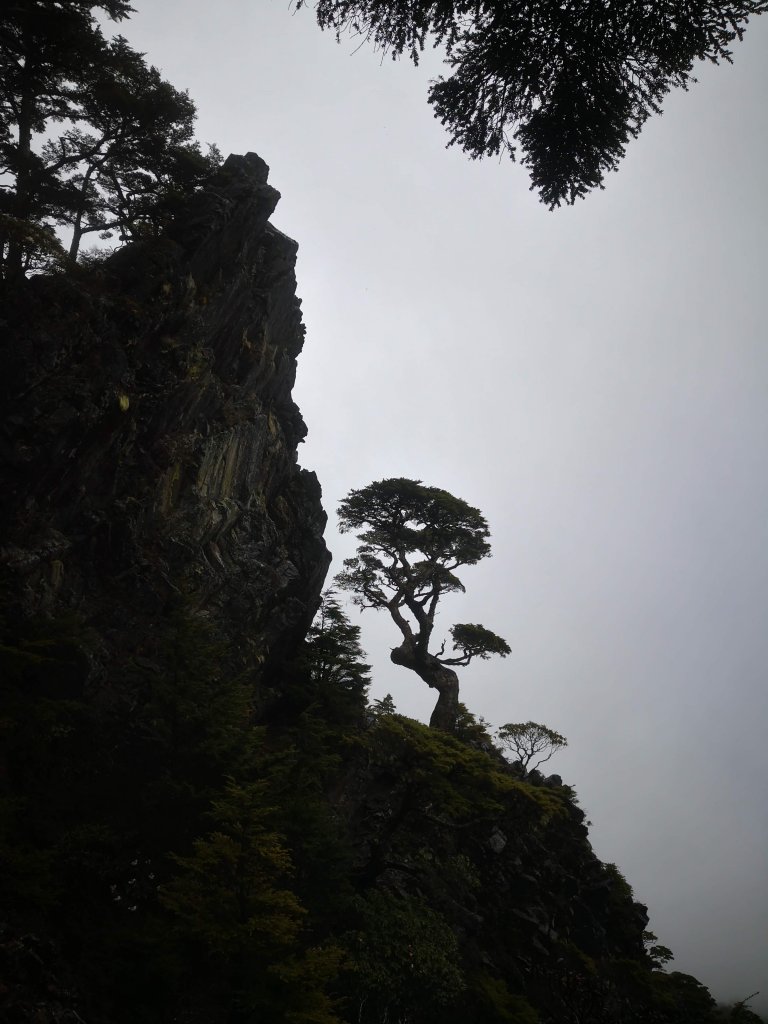 108.04.14~15品田、池有山_567039