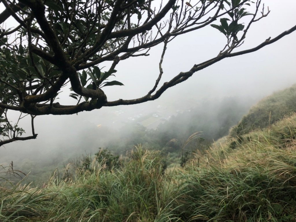 七星山主東峰20181115_461016