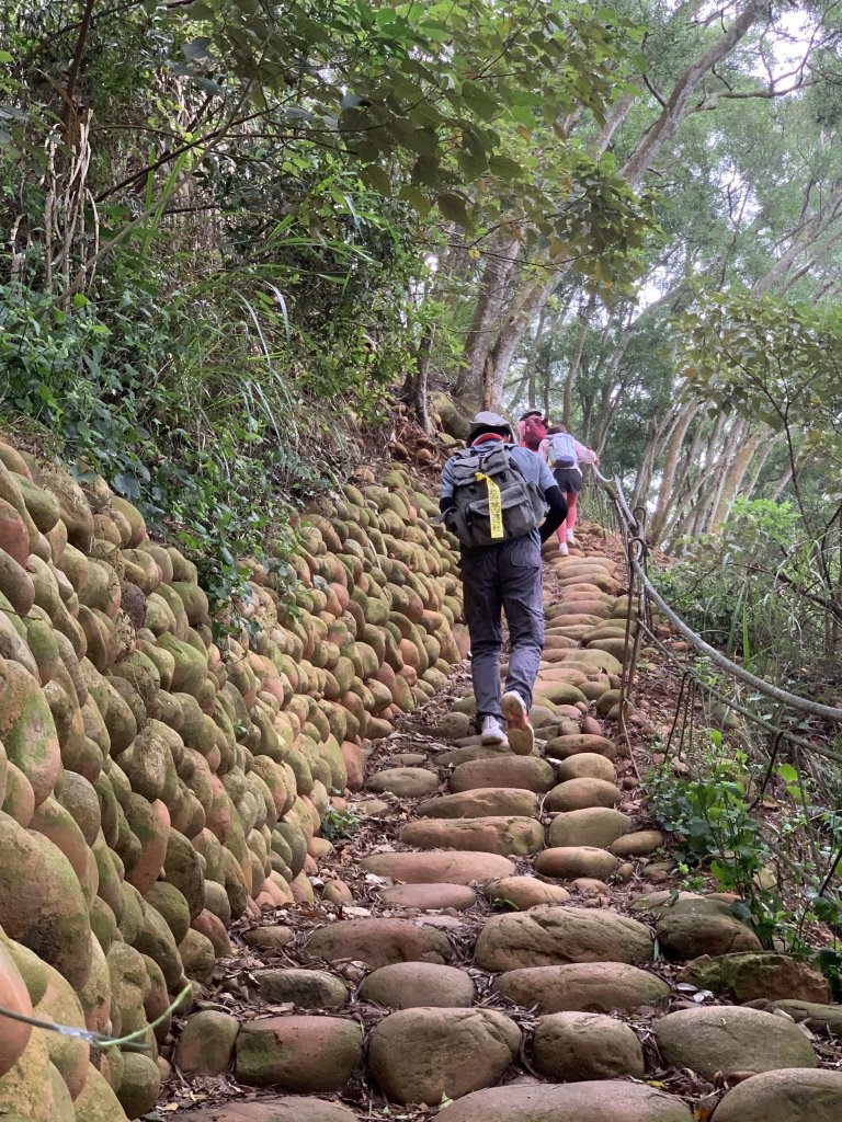 20250426苗栗火炎山_2772828