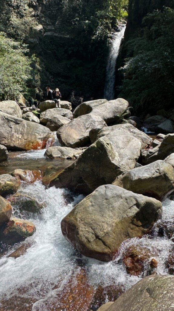 裡冷上唐麻丹O繞+蝴蝶谷_2742915