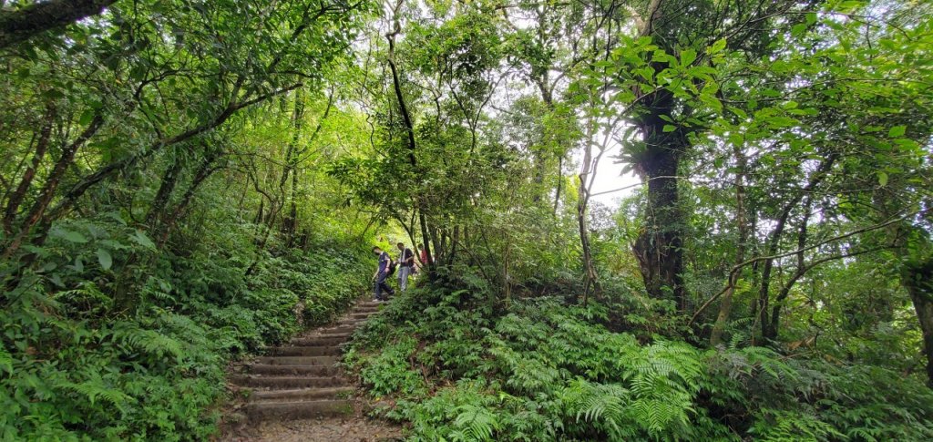 2021-09/19-宜蘭礁溪- 抹茶山三角崙山_1466410