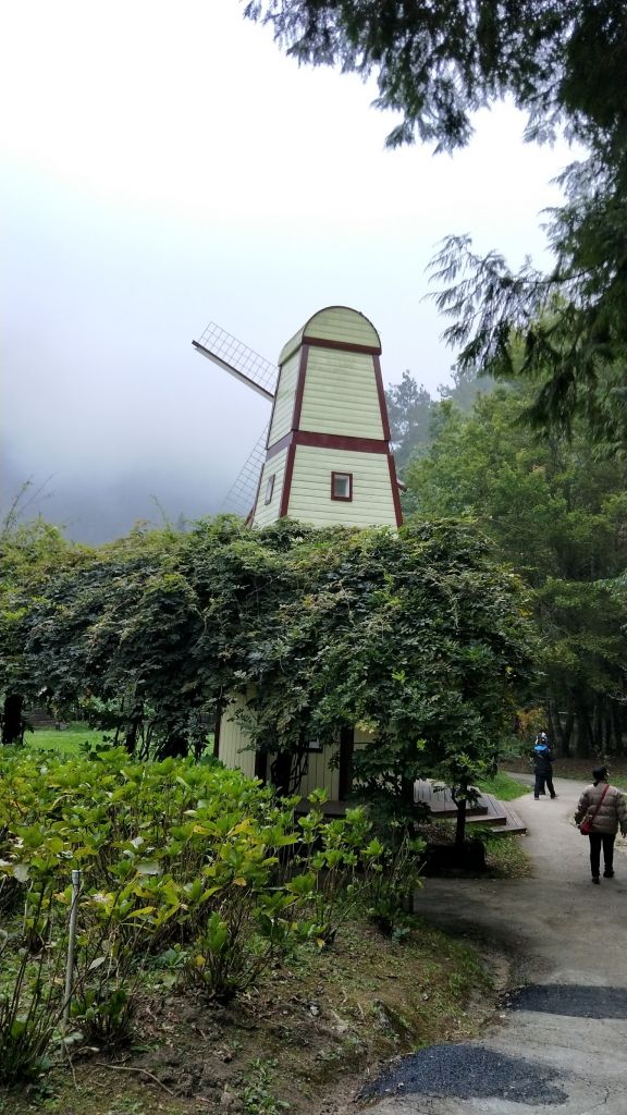 金柑樹山&忘憂森林步道20171023_193320