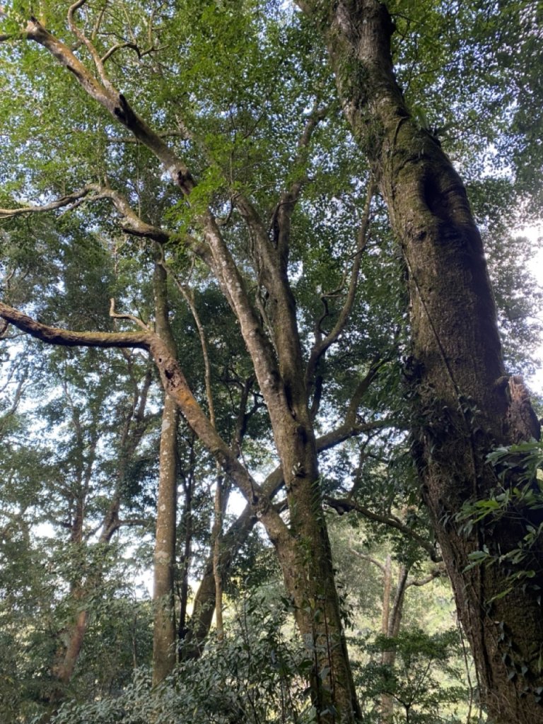 石壁山封面圖