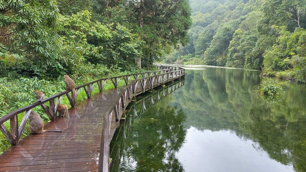 福山植物園封面圖