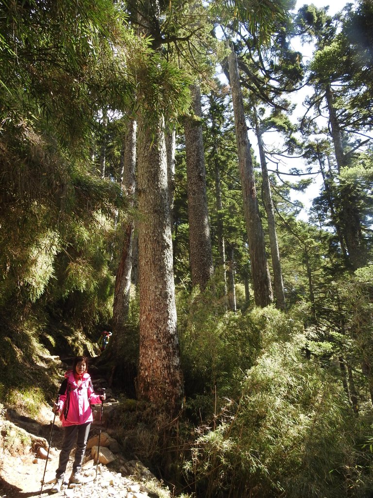 20181027半百夫妻的玉山夢_444714