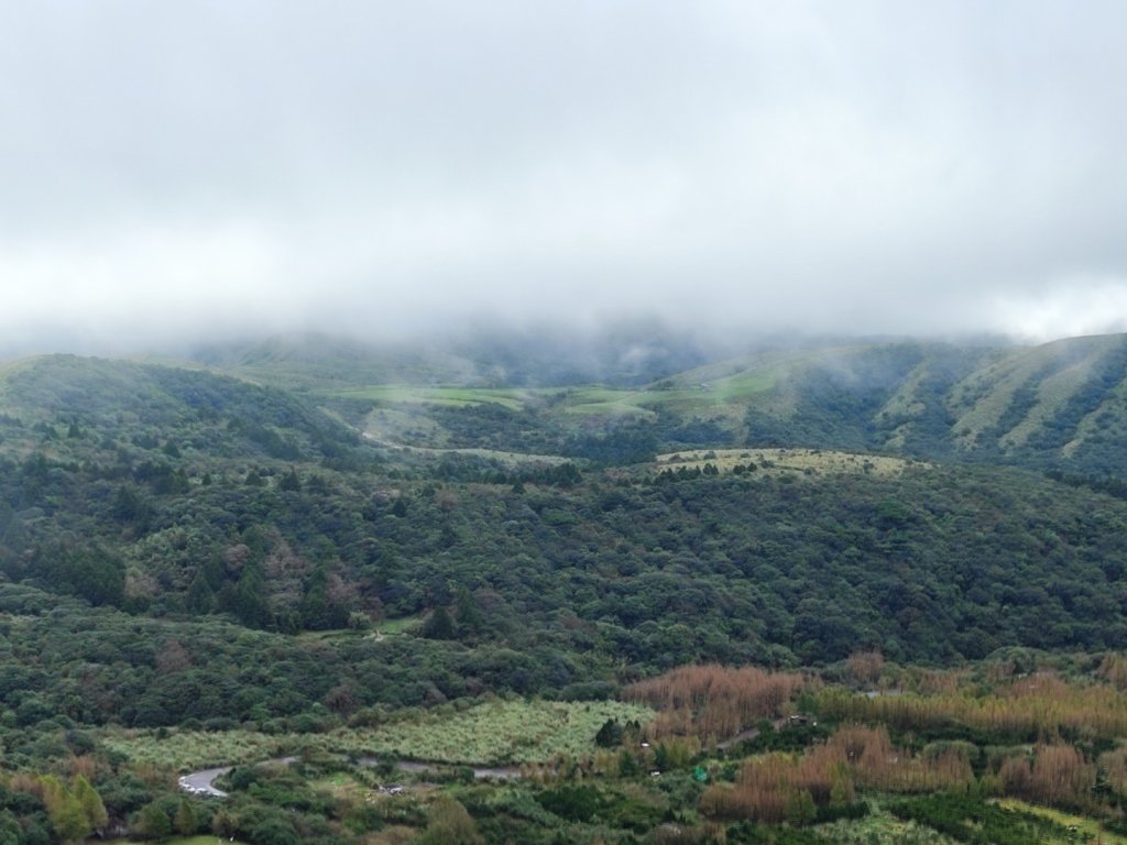 苗圃上七星下冷水坑_2647488