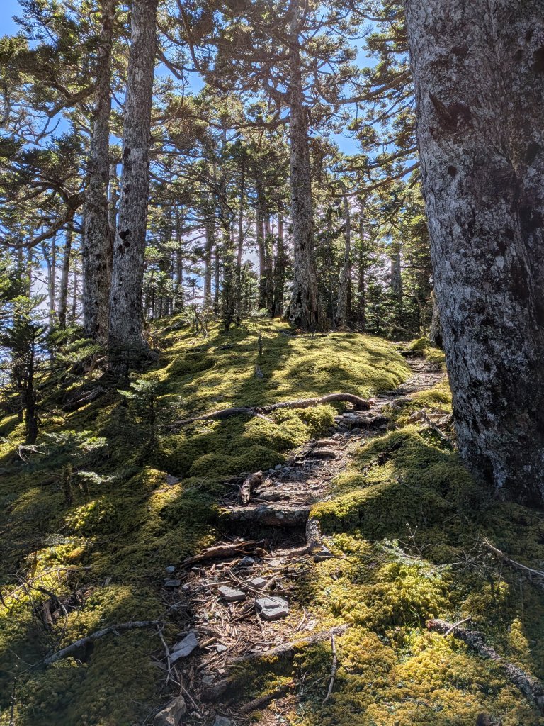 20251105 雪劍縱走_2934702