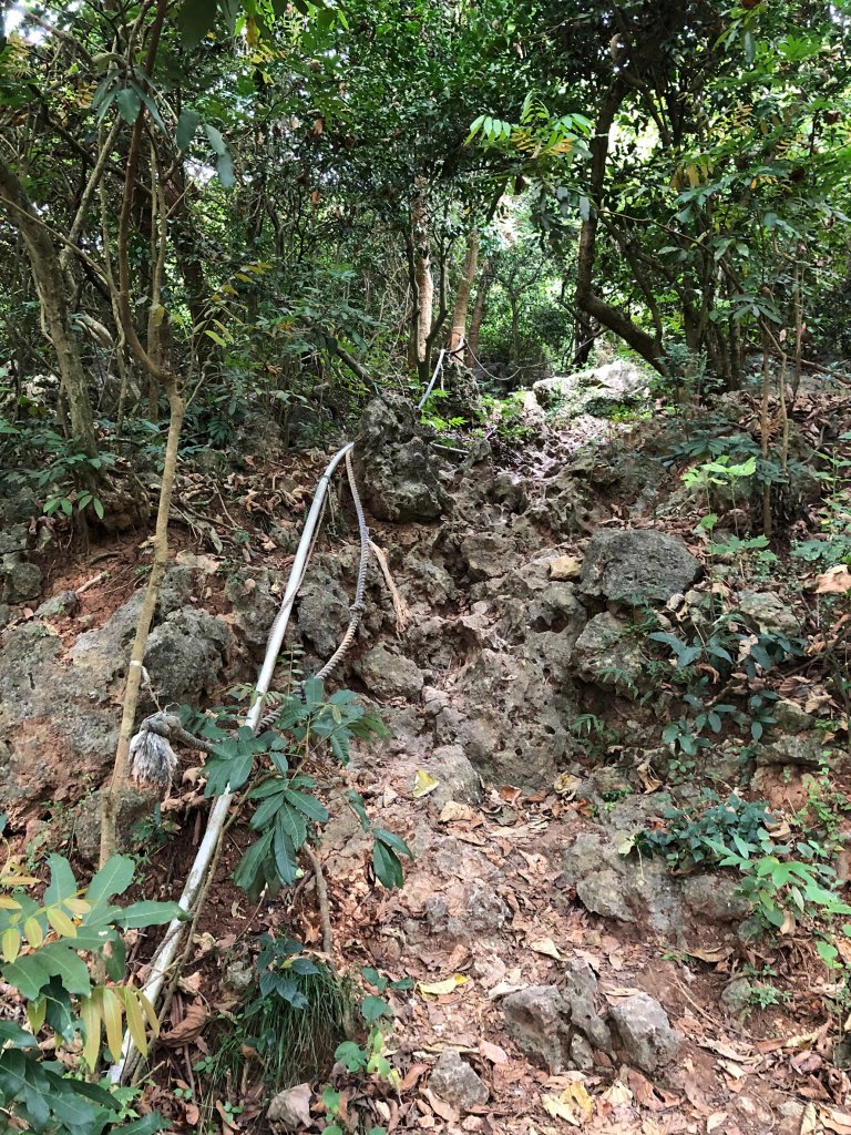 2020.10.01南壽山_1119710