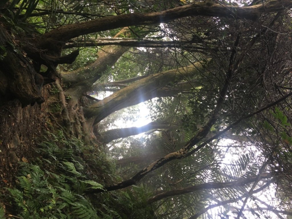 38溪洲山_2729733
