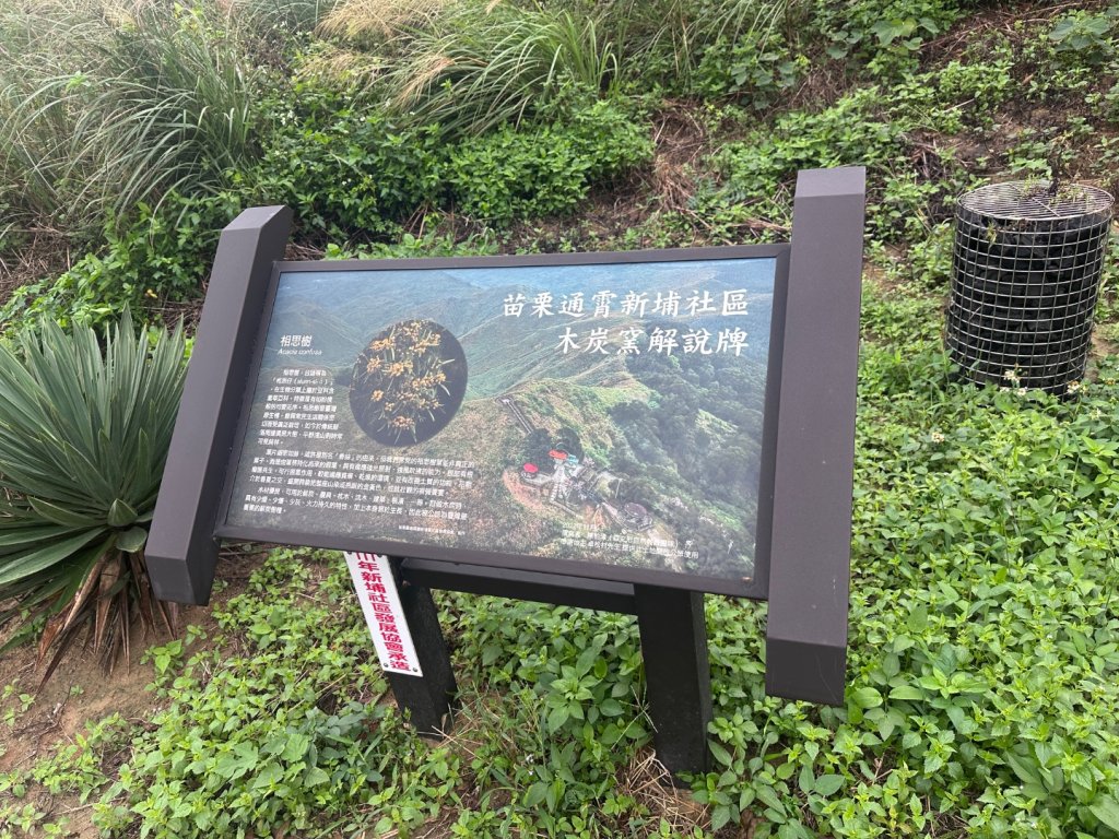 苗栗抹茶山_2648961