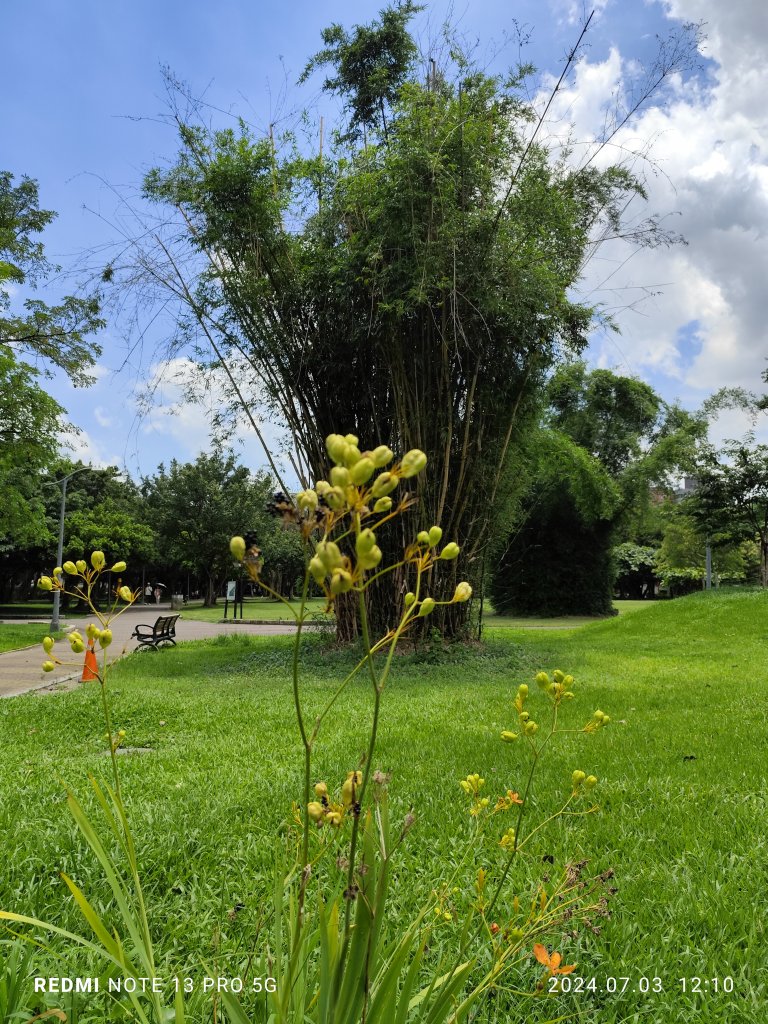 大安森林公園【走路趣尋寶】【臺北健走趣】_2541501