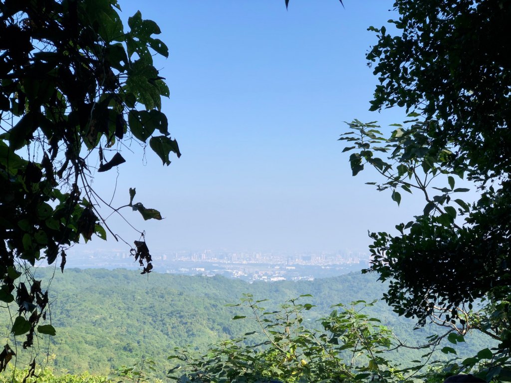 2021.11.14柴山_1517147