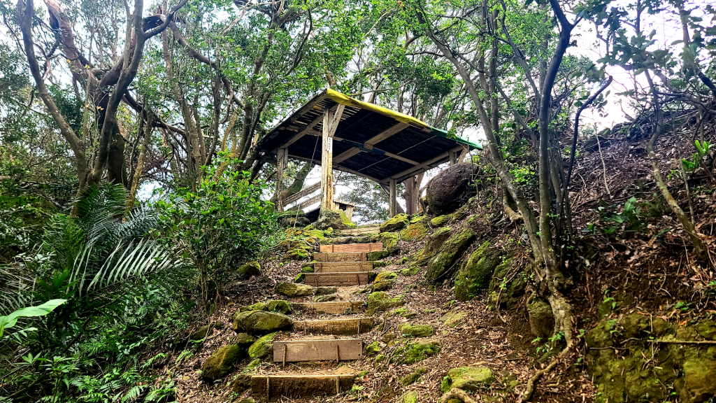 2025-0104 造鎮_五城山_天上山_三粒半_火焰山_慈惠堂_土城大潤發_2682127